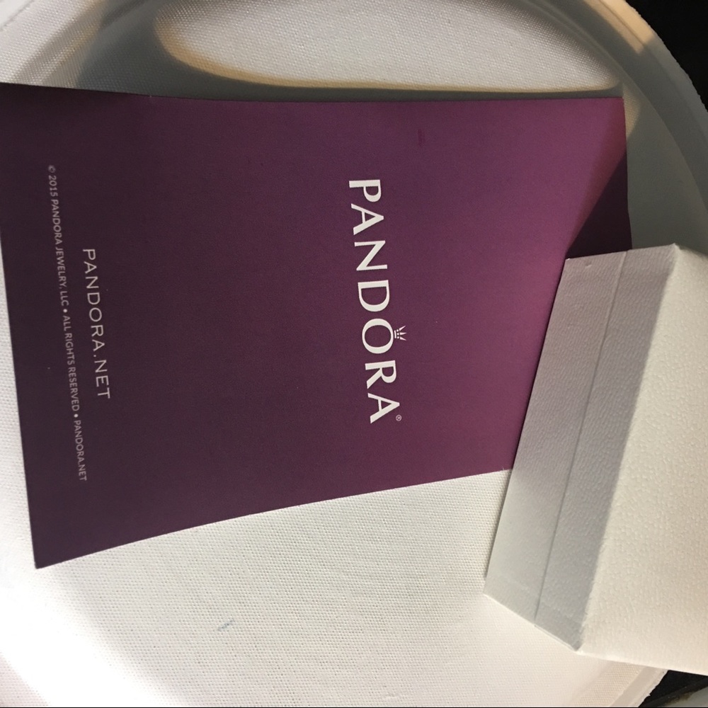 NWT Pandora charm